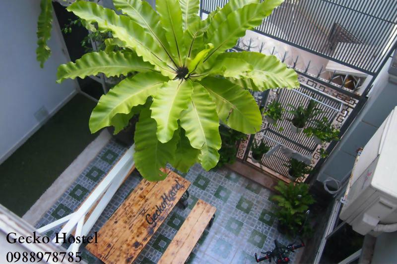 Gecko Hostel (Adults Only) Vung Tau Bagian luar foto